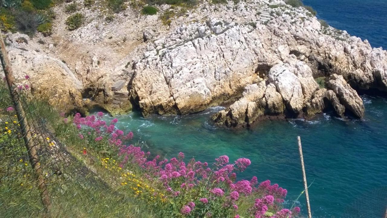 Petit Cocon A Mourepiane Διαμέρισμα Μασσαλία Εξωτερικό φωτογραφία